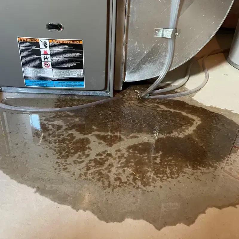 Appliance Leak Cleanup in Blount County, TN